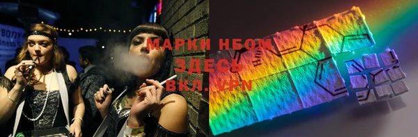 прущий лед Алзамай