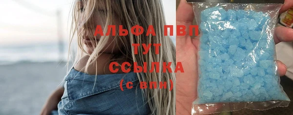 гашик Алексин