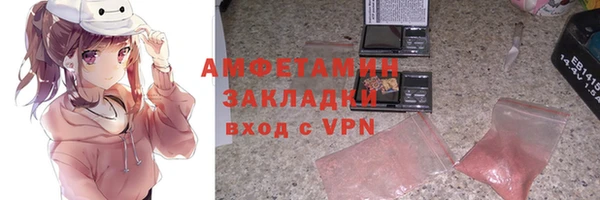 гашик Алексин