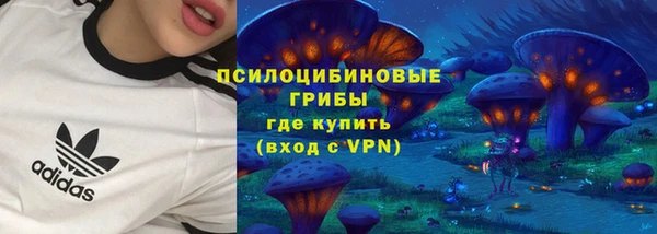 эйфоретик Абинск