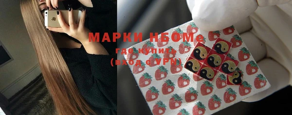 прущий лед Алзамай