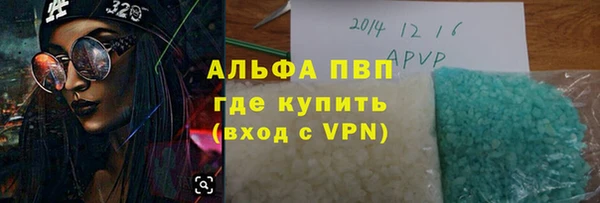 гашик Алексин