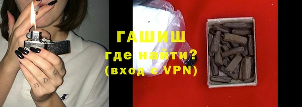 гашик Алексин