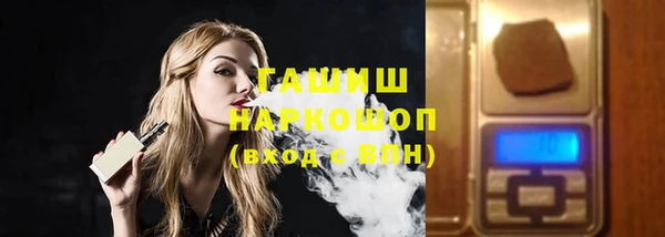 гашик Алексин