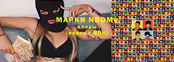 гашик Алексин