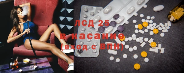 гашик Алексин