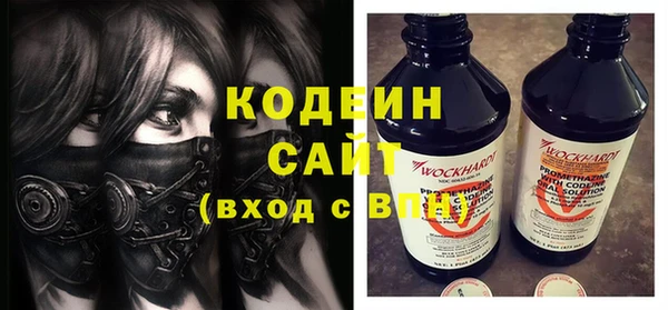 прущий лед Алзамай